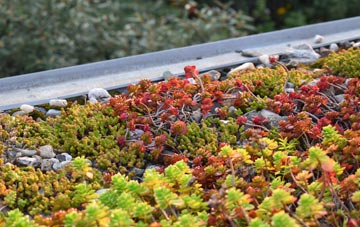 the cost of St Allen green roof installation