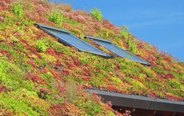 St Allen living roof systems